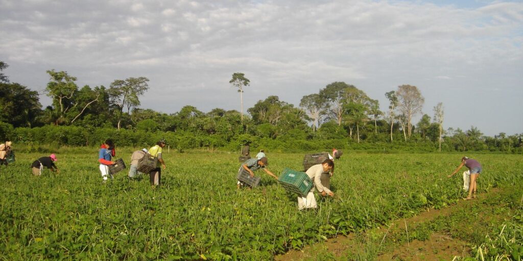 Prêmio para produção acadêmica destaca agricultura familiar premio-para-producao-academica-destaca-agricultura-familiar
