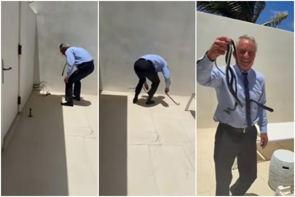 secretario-de-trump-e-picado-varias-vezes-ao-pegar-cobras-com-as-maos.-video