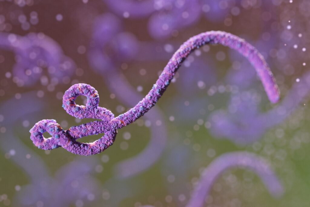 equipe-de-oxford-prepara-testes-de-vacina-contra-ebola-durante-surto