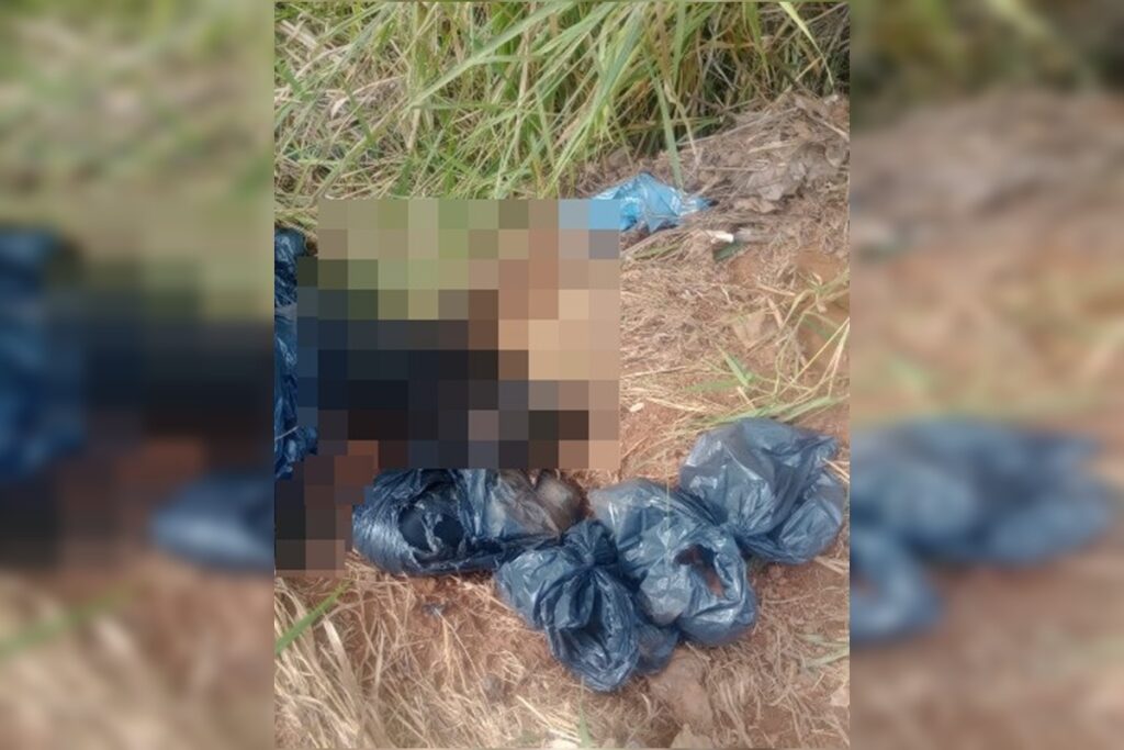 pcdf-apura-possivel-estelionato-em-descarte-de-cachorros-mortos.-veja-video