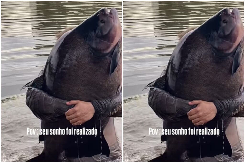 “monstro-dos-rios”:-pescador-captura-tambacu-de-41-kg-em-caldas-novas.-video
