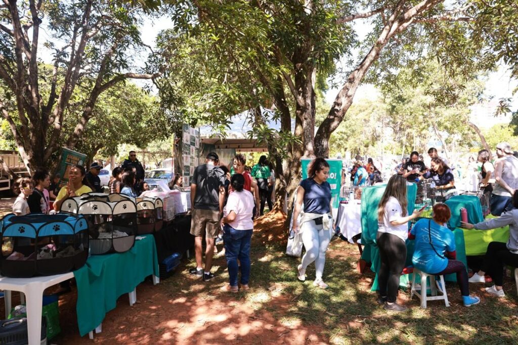 parque-da-cidade-recebe-feira-de-adocao-de-animais-neste-sabado-(30/5)