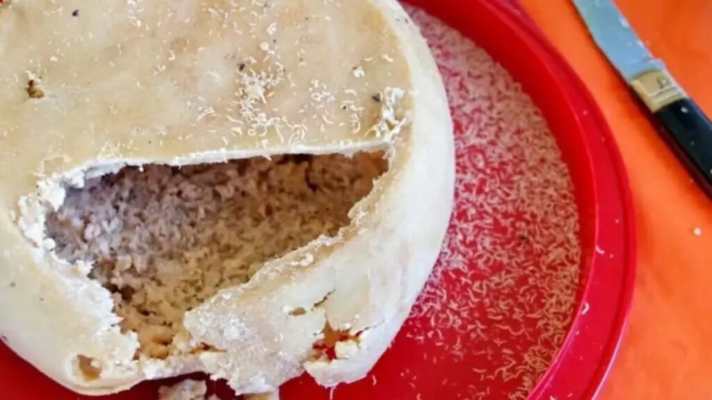 o-queijo-mais-perigoso-do-mundo-ainda-e-servido-como-tradicao-na-italia