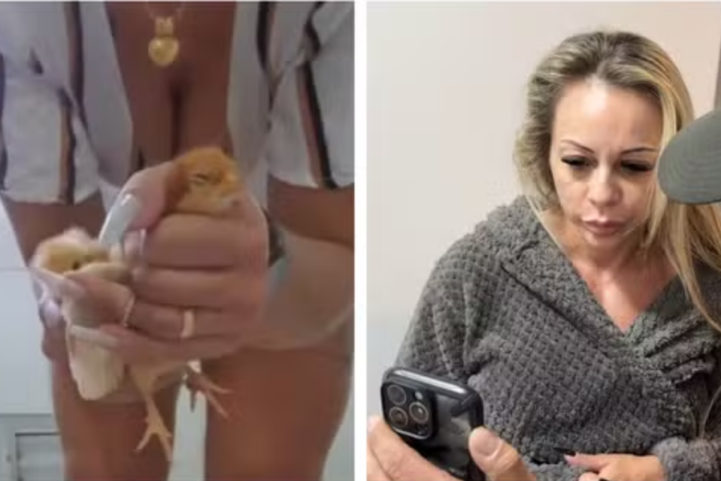 mulher-que-matava-animais-foi-poupada-de-multa-recem-endurecida-em-sp