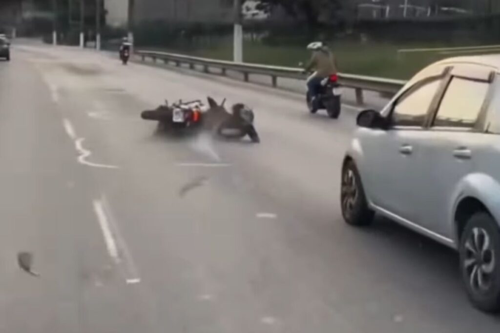 motociclista-rola-na-marginal-tiete-apos-cair-enquanto-filmava-passeio.-veja-video