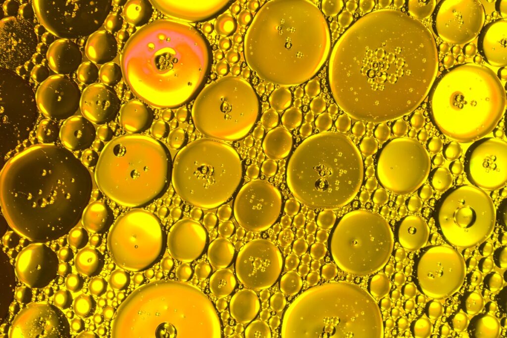 cientistas-descobrem-gordura-que-reduz-cancer-de-pancreas.-saiba-qual