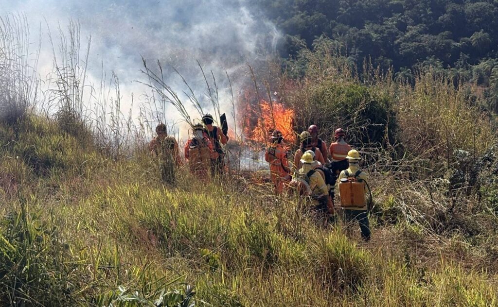 el-nino-em-minas:-cemig-liga-alerta-para-menos-chuvas-e-mais-queimadas