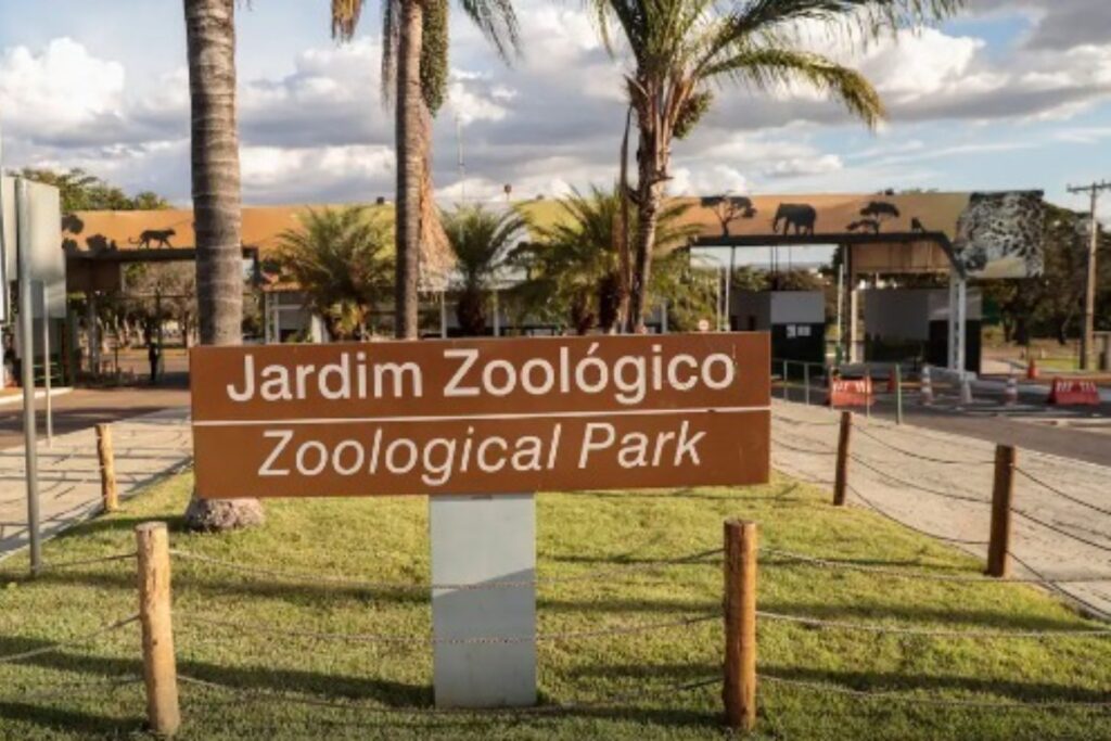 zoologico-de-brasilia-tera-experiencia-imersiva-no-corpus-christi