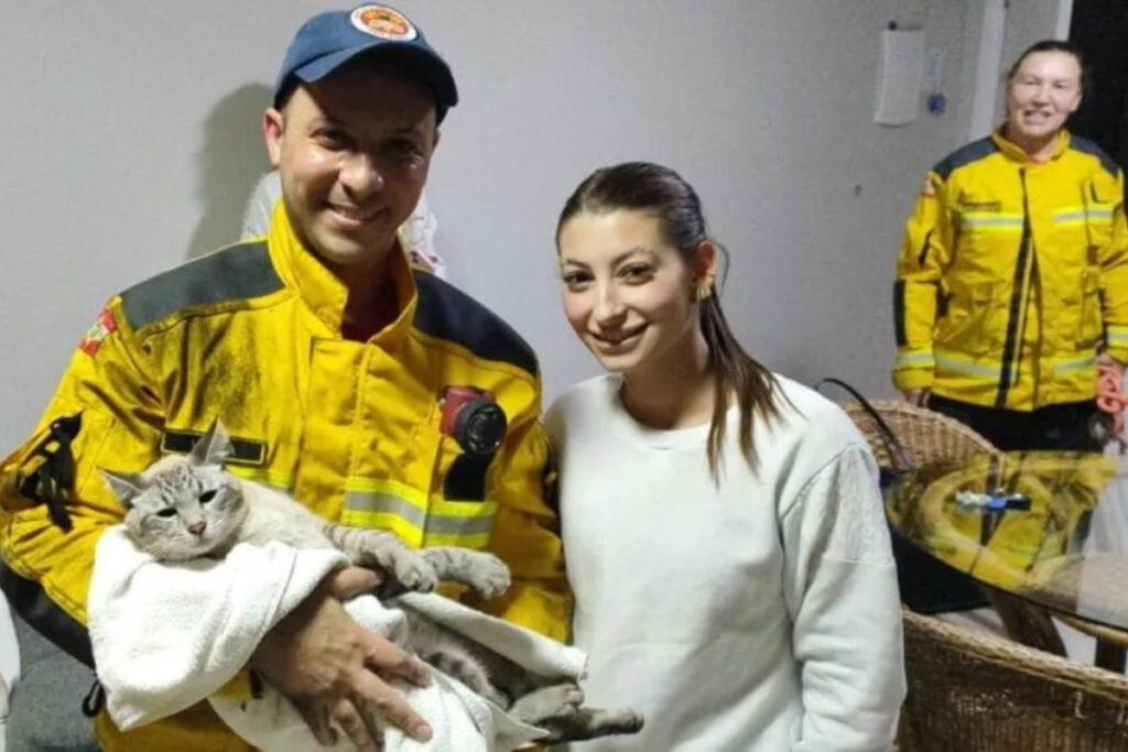 gato-cai-do-6°-andar-e-fica-horas-dentro-de-tubulacao-em-predio-de-sc