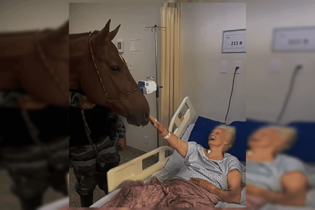 cavalo-da-pmgo-visita-hospital-e-ajuda-na-recuperacao-de-pacientes