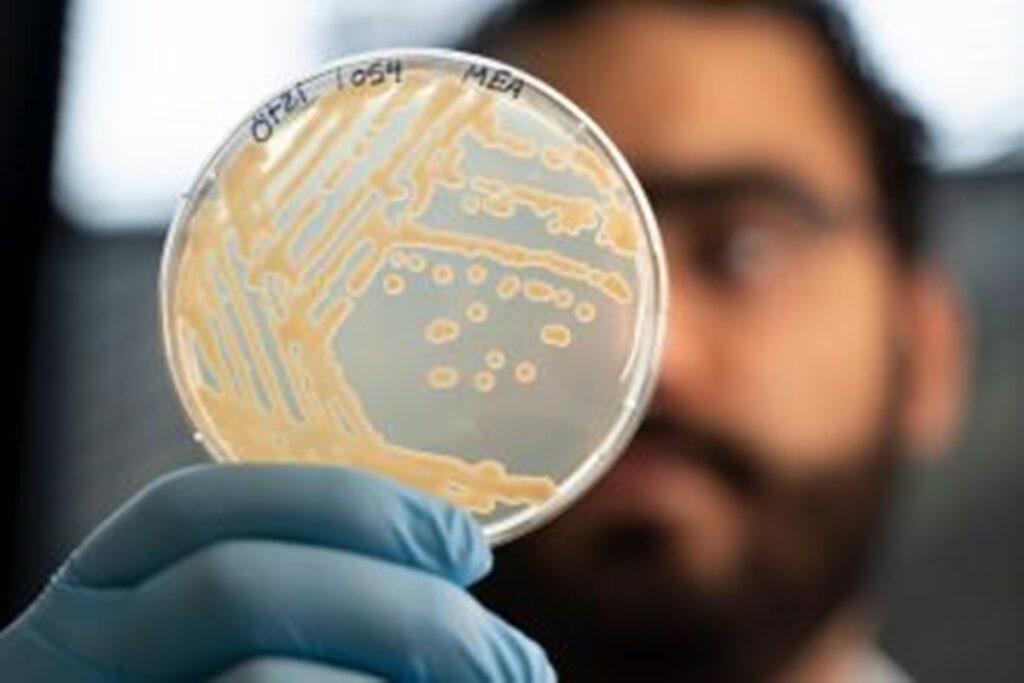 microbioma-de-otzi,-o-homem-de-gelo,-segue-ativo,-indica-novo-estudo