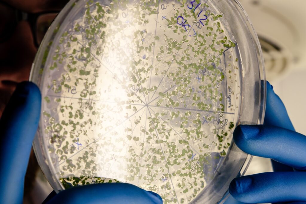 saiba-como-bacteria-do-caso-ype-e-crystal-sobrevive-a-agua-e-ao-sabao