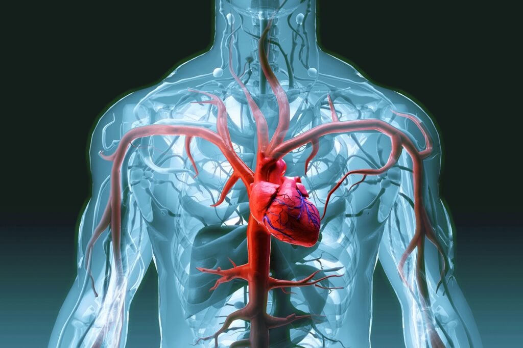 cardiologista-aponta-como-bebidas-alcoolicas-afetam-a-saude-do-coracao