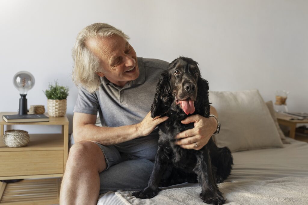socializacao:-como-a-rotina-influencia-o-comportamento-dos-pets