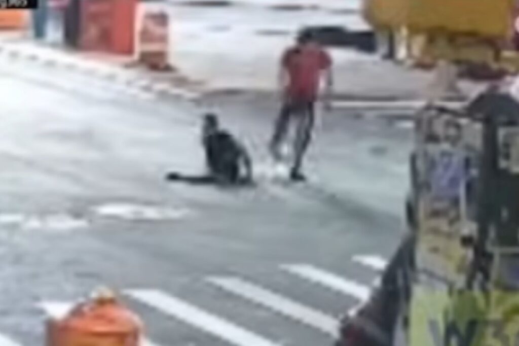 misterio-em-ny:-policia-investiga-homens-filmados-saindo-de-bueiros.-video