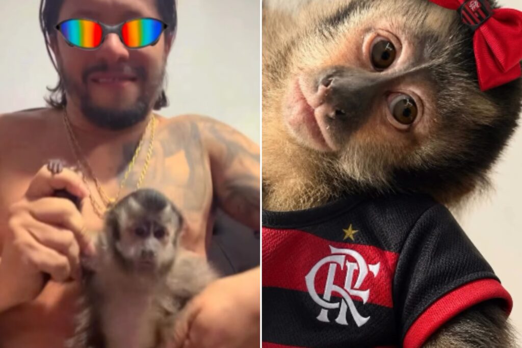 preso-no-maracana,-chefao-do-cv-exibia-rotina-com-“macaca-chorona”.-veja-video