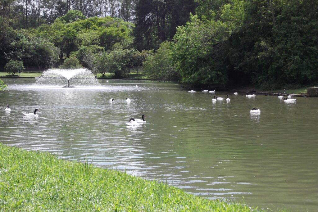 rs:-zoo-mantem-suspensao-de-visitas-apos-morte-de-36-aves-em-2-semanas