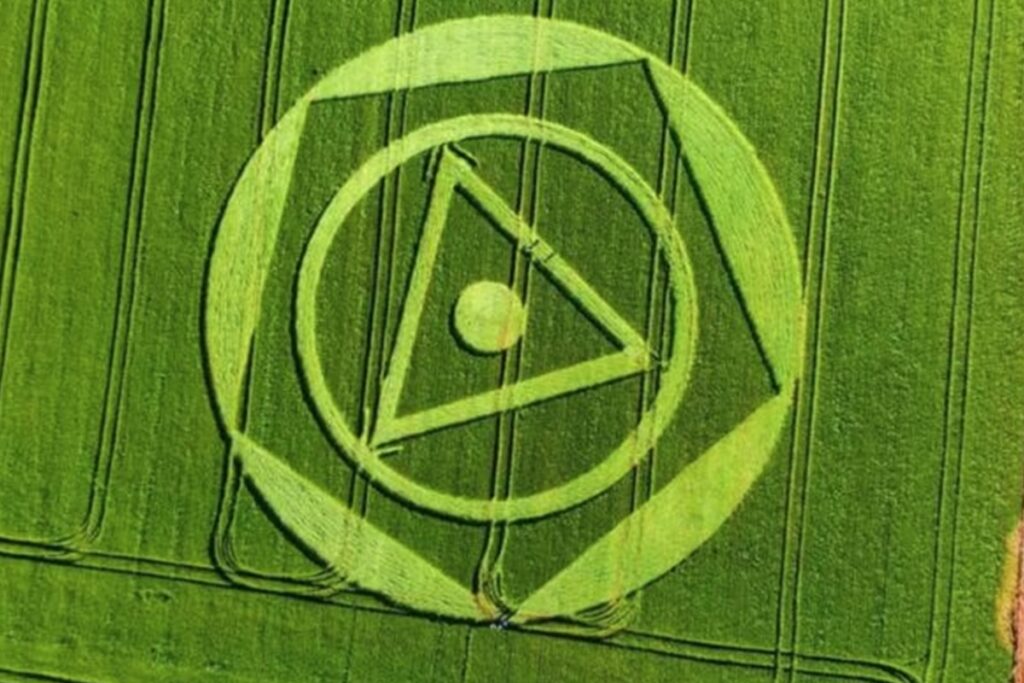 visita-alienigena?-saiba-o-que-a-ciencia-diz-sobre-os-agroglifos