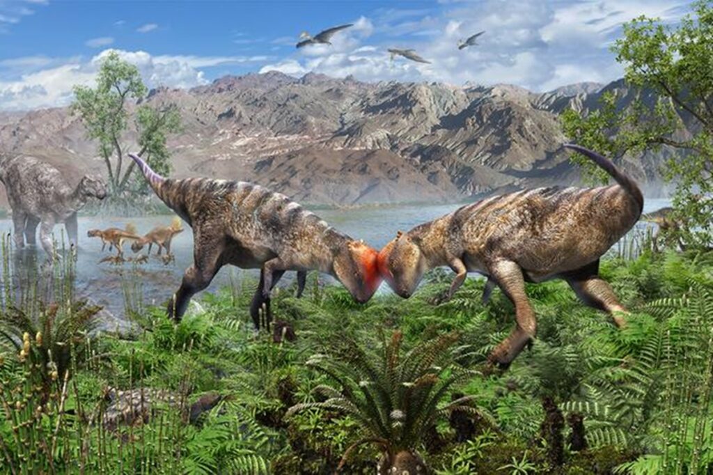 entenda-como-os-paleontologos-descobrem-os-habitos-dos-dinossauros