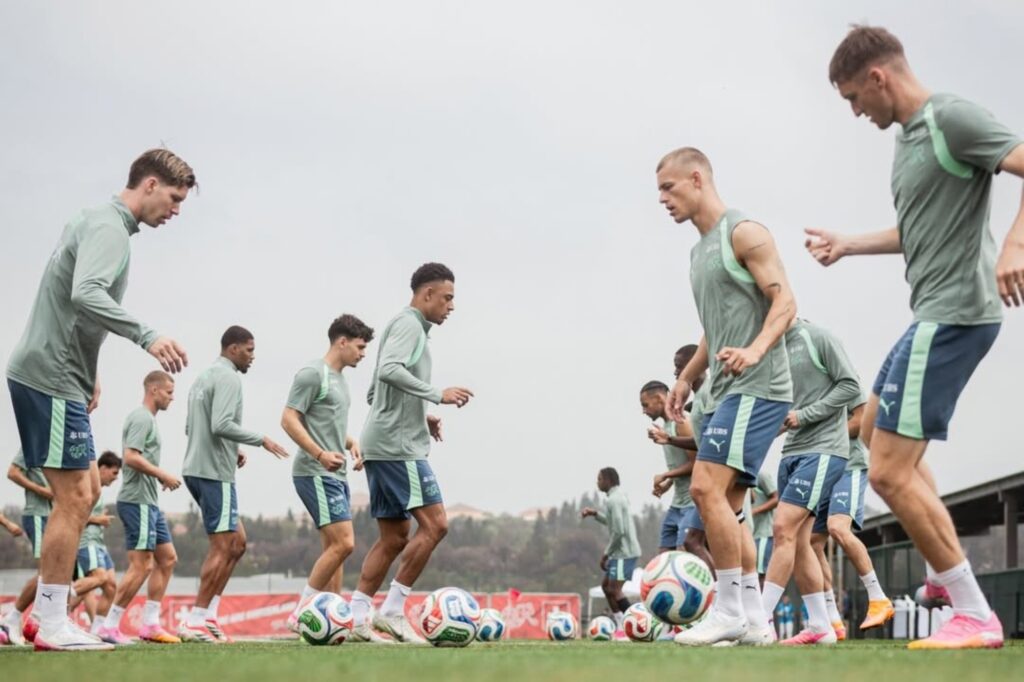 suica-convive-com-alerta-de-cobras-durante-treinos-para-copa-do-mundo