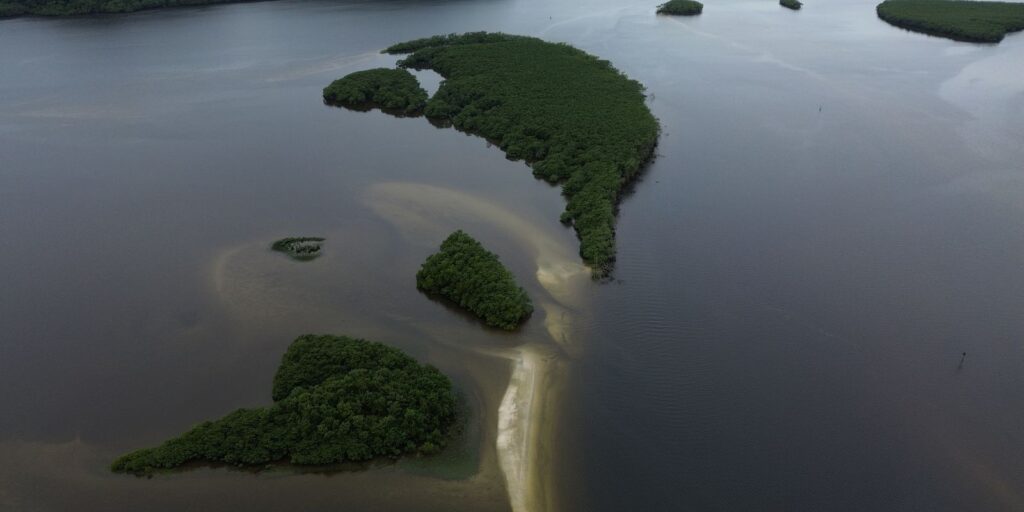 carbono-azul-ganha-espaco-na-agenda-climatica-dos-oceanos