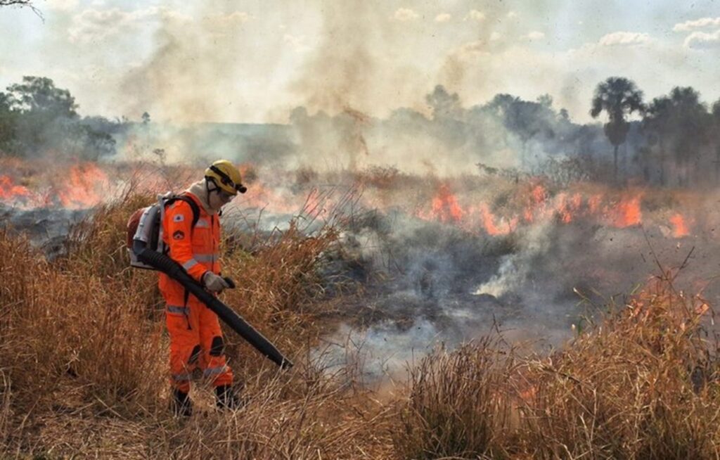 estiagem:-mg-lanca-plano-de-r$-440-milhoes-contra-incendios-florestais