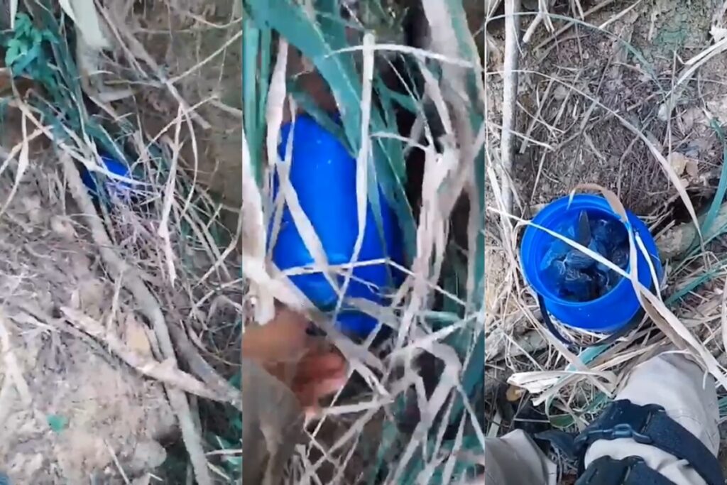 mg:-pm-prende-trio-por-trafico-e-apreende-droga-escondida-em-mata.-video