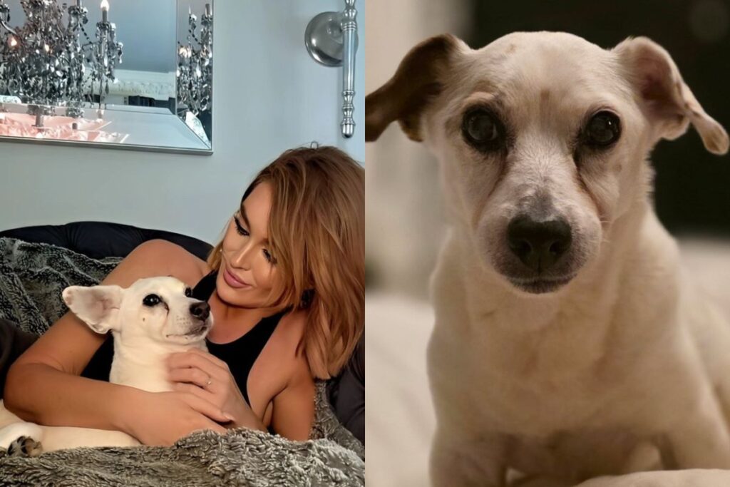 mulher-tatua-cinzas-de-cachorro-nas-palpebras;-saiba-o-motivo