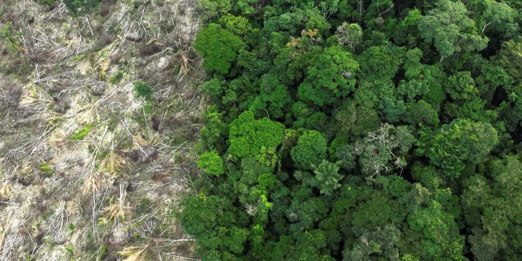 Crise climática é o pior desafio da história humana, diz cientista crise-climatica-e-o-pior-desafio-da-historia-humana,-diz-cientista