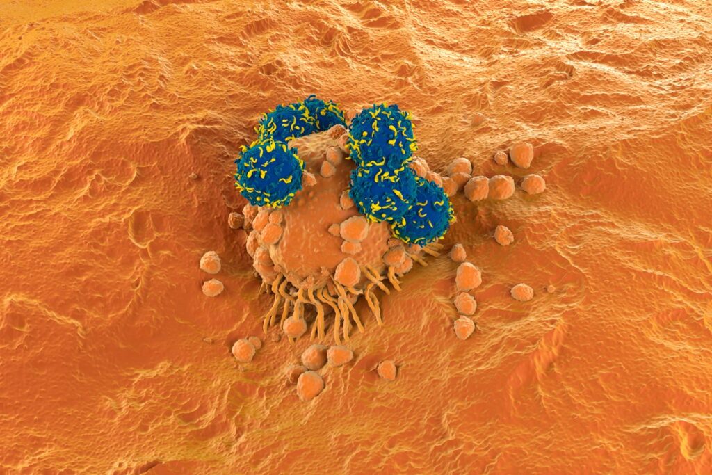 pesquisa-brasileira-com-car-t-chega-a-87,5%-de-eficacia-contra-cancer