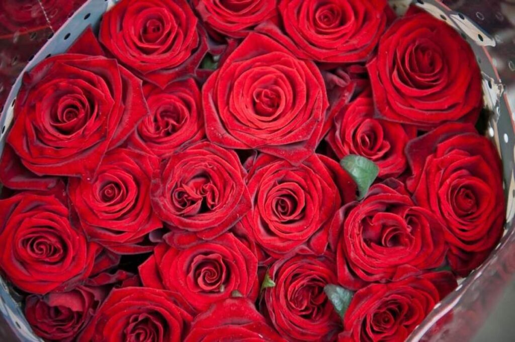 namorados:-flores,-jantares-e-moteis-tem-alta-variacao-de-preco-em-mg