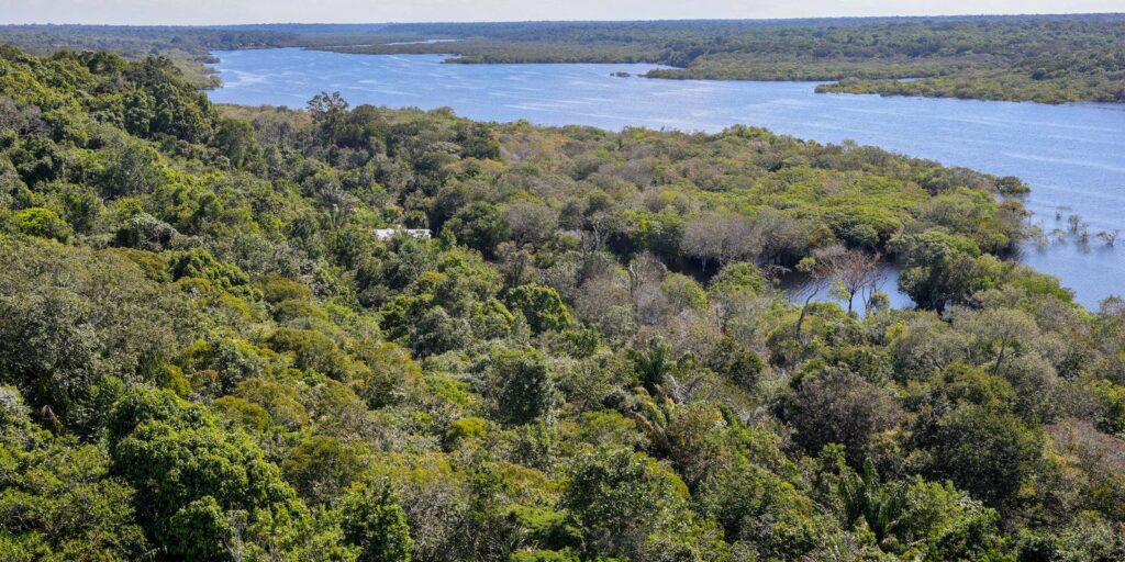 fundo-amazonia-quadruplica-ritmo-anual-de-aprovacoes-desde-2023