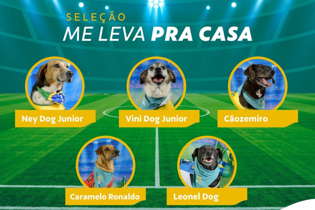 “Neydog” e “Caramelo Ronaldo”: cães entram em campo por adoção “neydog”-e-“caramelo-ronaldo”:-caes-entram-em-campo-por-adocao