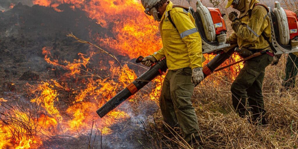 Governo repassa R$ 337 milhões para combate a incêndios e desmatamento governo-repassa-r$-337-milhoes-para-combate-a-incendios-e-desmatamento
