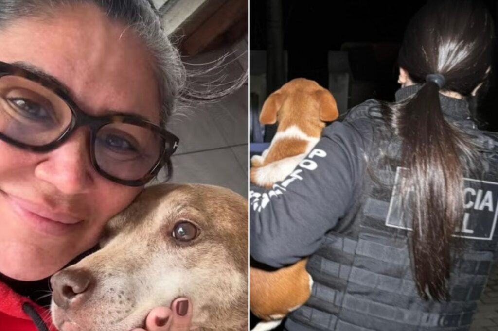 ex-secretaria-de-bem-estar-animal-e-presa-por-“eutanasia-via-pix”