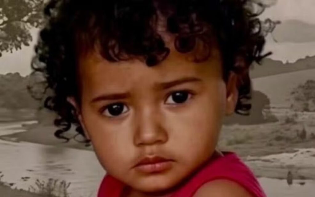 menina-de-2-anos-desaparece-em-fazenda-com-mata-fechada-em-goias