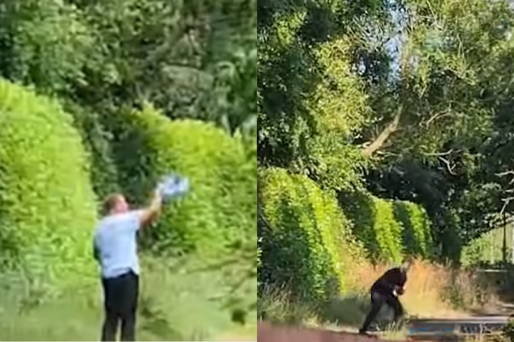 Urubu ataca moradores e derruba ciclistas em vila na Inglaterra urubu-ataca-moradores-e-derruba-ciclistas-em-vila-na-inglaterra