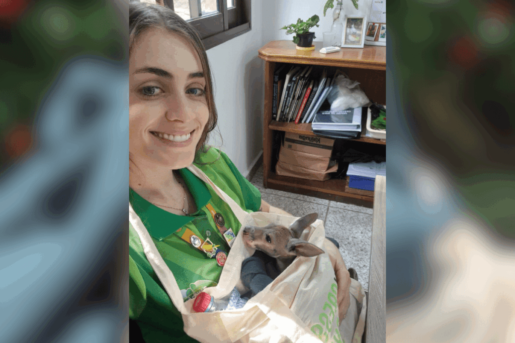 rejeitada-pela-mae,-filhote-de-canguru-e-adotada-por-biologa-em-sp