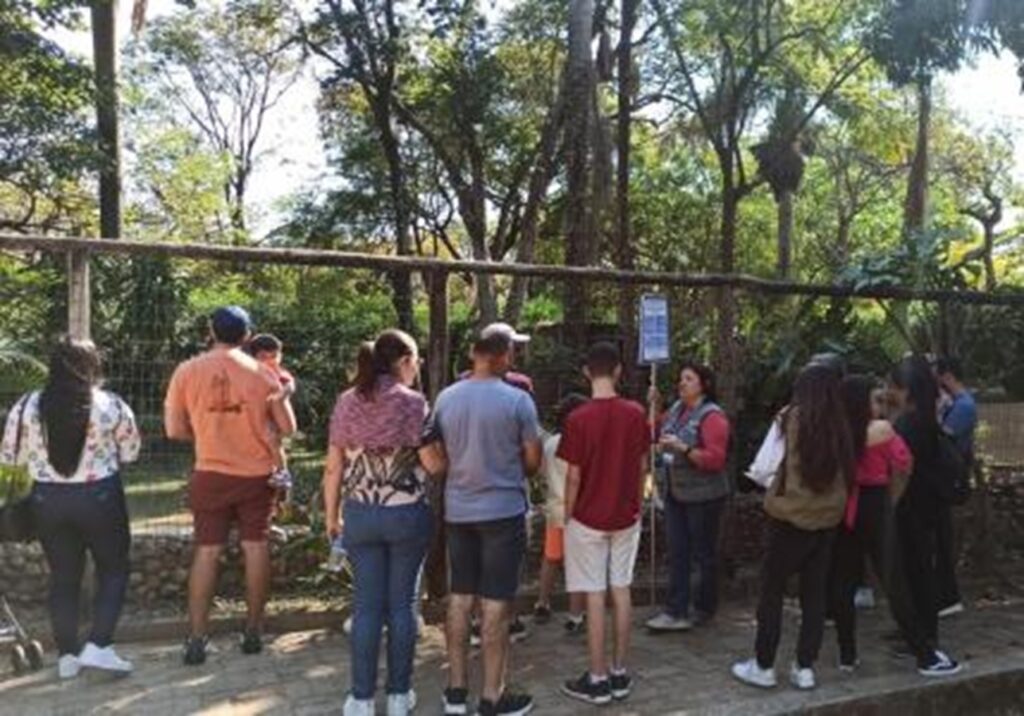 zoo-de-bh-prepara-operacao-complexa-para-trazer-tres-girafas-do-rj