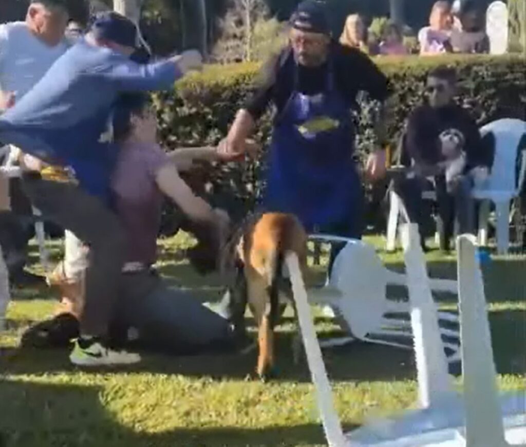 discussao-por-focinheira-de-cao-acaba-em-pancadaria-generalizada-em-parque