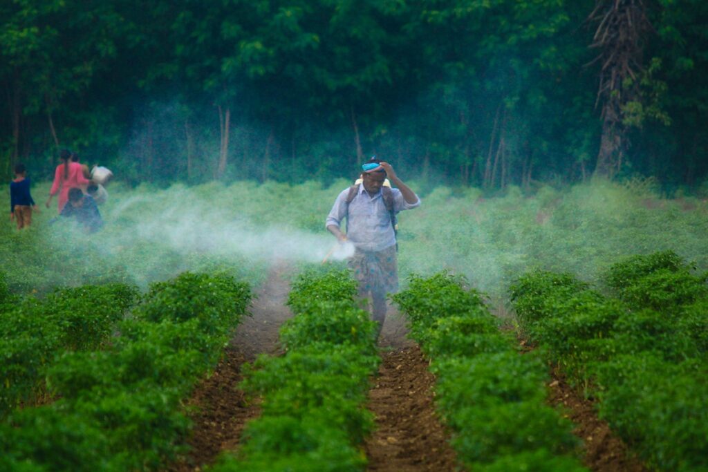 herbicida-popular-pode-tornar-bacterias-mais-resistentes,-diz-estudo