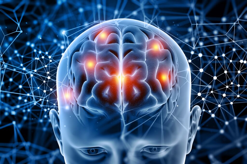 cientistas-criam-o-mais-detalhado-atlas-3d-do-tronco-encefalico-humano