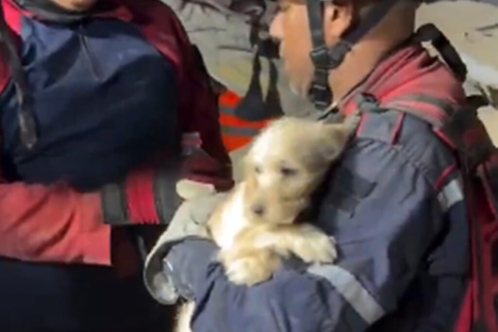 criancas-e-cachorro-sao-resgatados-com-vida-de-escombros-na-venezuela