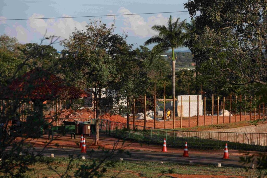 zoo-de-brasilia-se-prepara-para-receber-girafas-traficadas-pelo-bioparque
