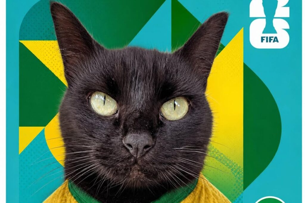 gato-vidente-que-acertou-jogos-do-brasil-faz-novo-palpite-contra-japao