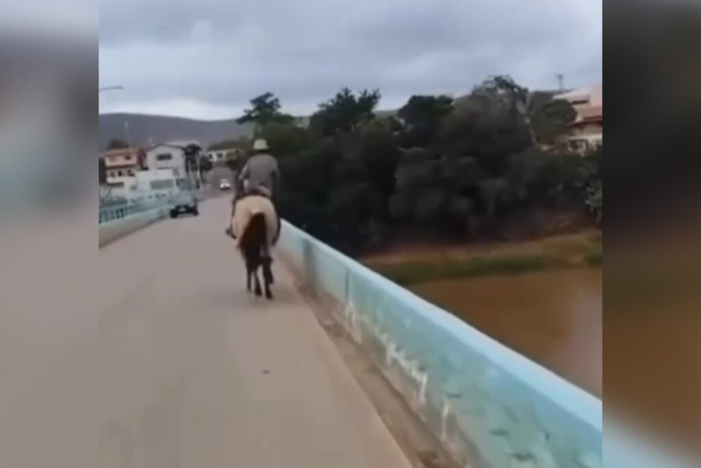 embriagado,-homem-quase-cai-de-cavalo-em-ponte-de-mg-e-video-viraliza