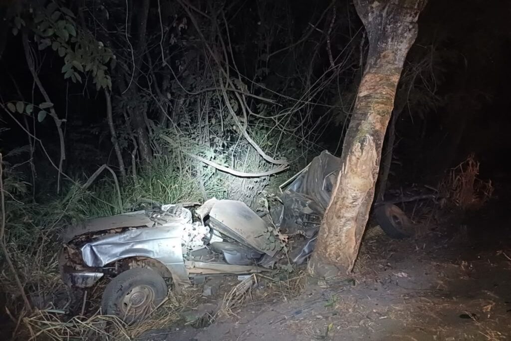 motorista-morre-apos-sair-da-pista-e-bater-em-arvore-na-br-153