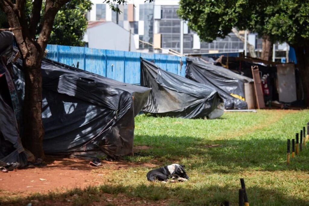 Aprovado PL que permite “internação humanizada involuntária” no DF aprovado-pl-que-permite-“internacao-humanizada-involuntaria”-no-df