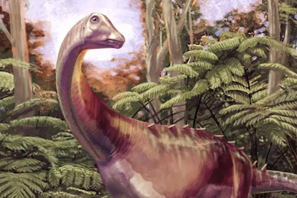 Fóssil arquivado há quatro décadas é do 1º dinossauro da Antártida fossil-arquivado-ha-quatro-decadas-e-do-1o-dinossauro-da-antartida