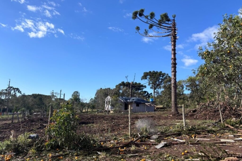 Tornado com ventos de 200 km/h atinge cidade do Paraná tornado-com-ventos-de-200-km/h-atinge-cidade-do-parana